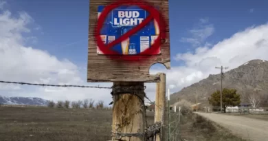 Why Are People Boycotting Bud Light Beer