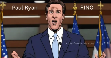 Why Was Paul Ryan Designated As A RINO