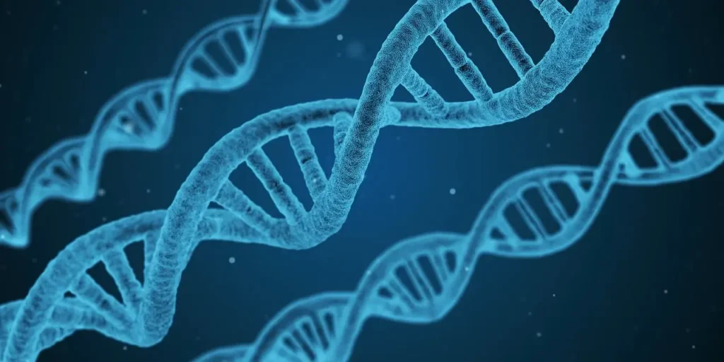 Debunking The Myth Of Evolution