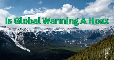 Is Global Warming A Natural Cycle Or Hoax