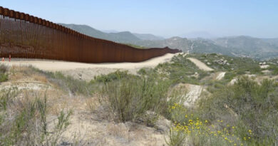 Holding Democrats Liable for Border Crime